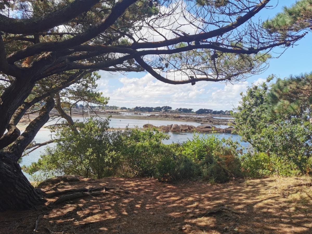 Villa Un Havre De Paix La Méaugon Esterno foto